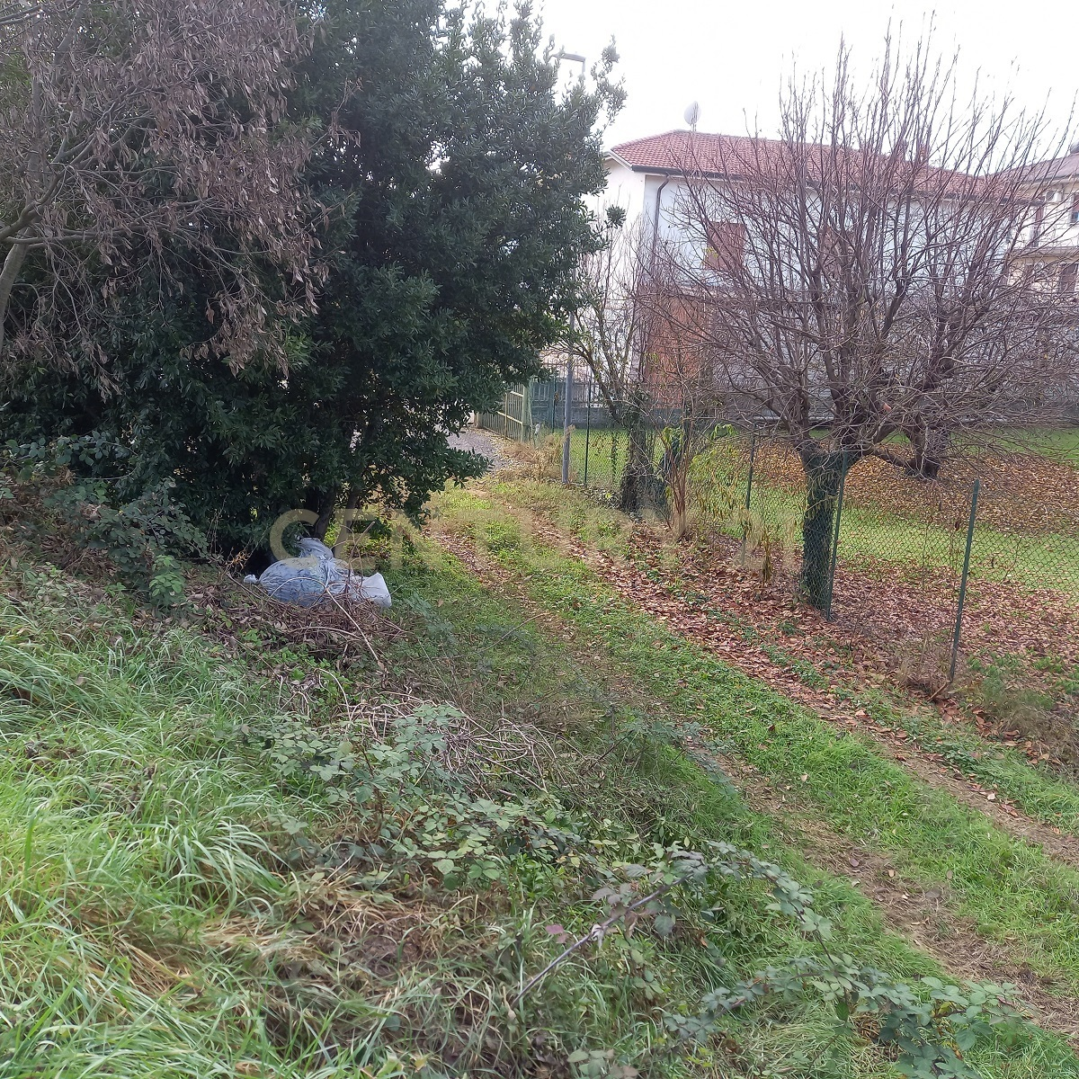 immagine annuncio 3 di 9