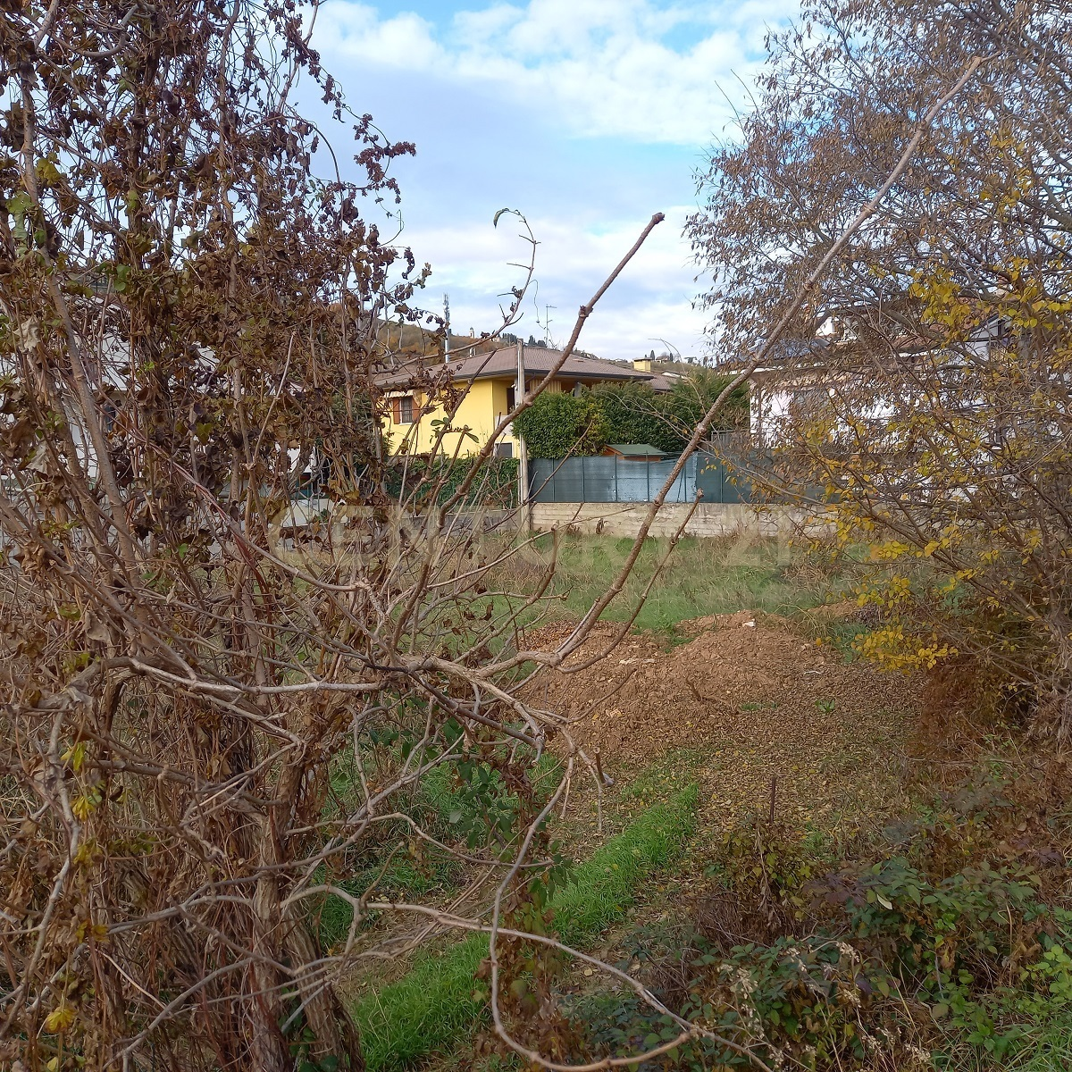 immagine annuncio 8 di 9