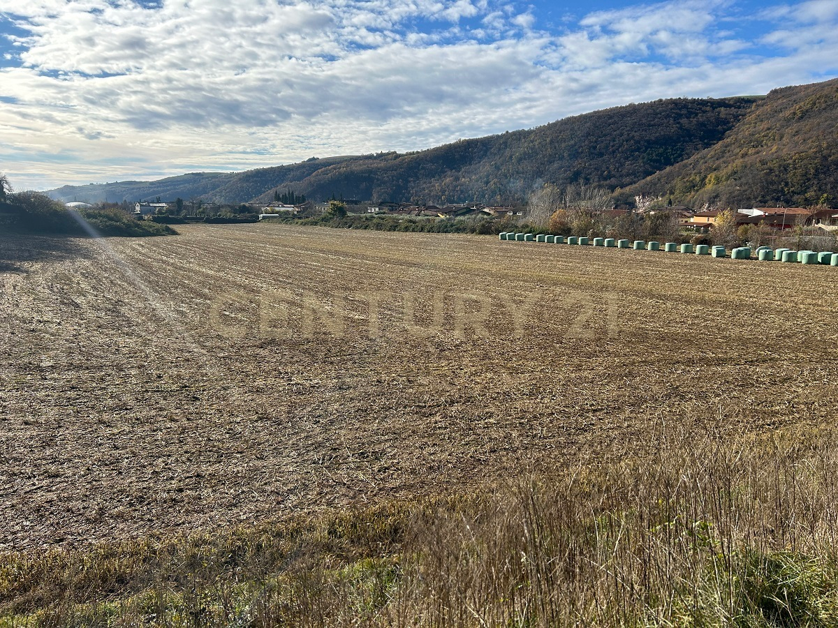 casa indipendente in vendita a Tregnago in zona Cogollo