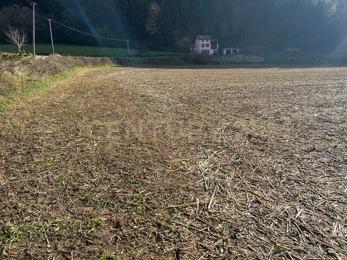 casa indipendente in vendita a Tregnago in zona Cogollo