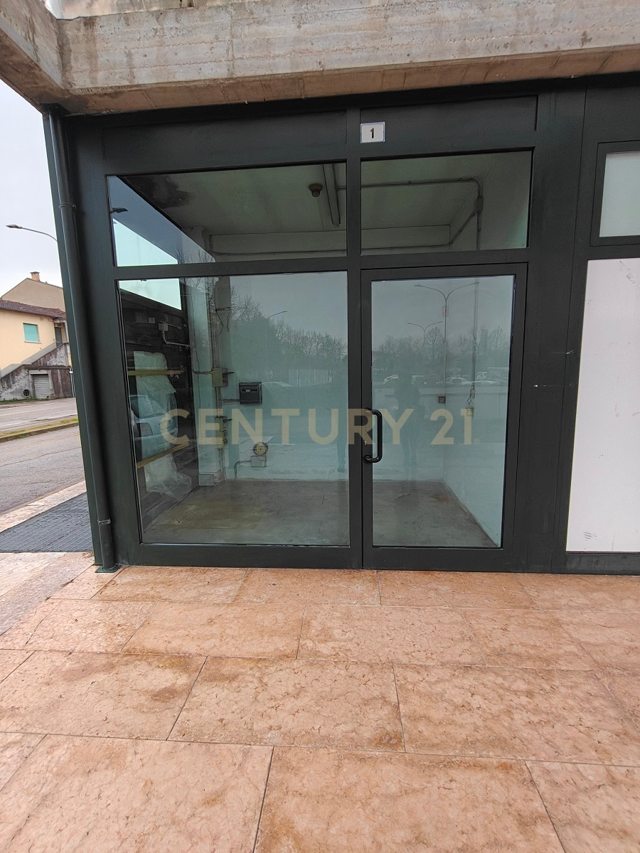 immagine annuncio 4 di 8