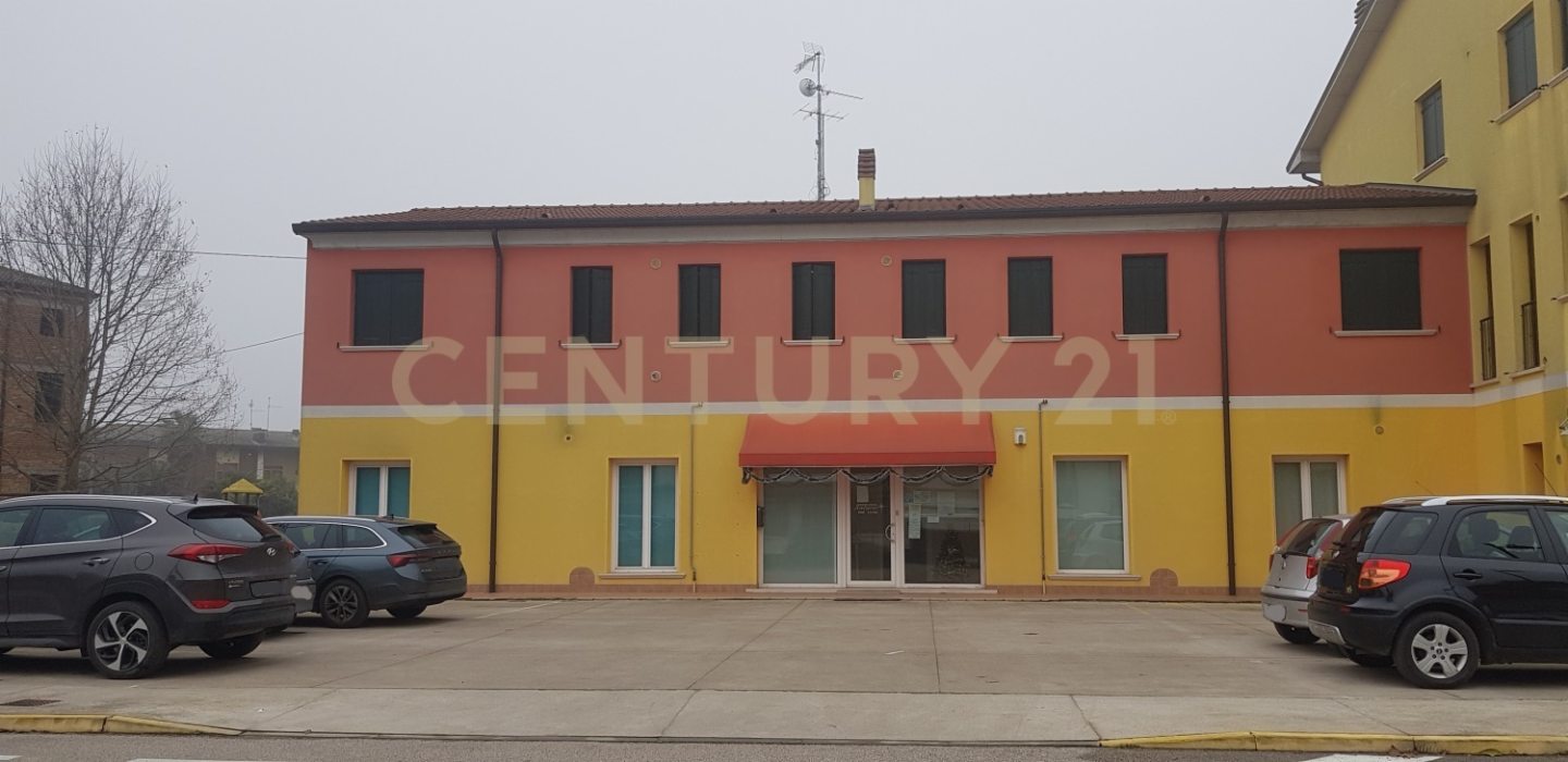 immagine annuncio 2 di 9