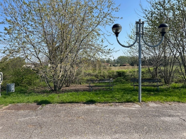 immagine annuncio 4 di 8