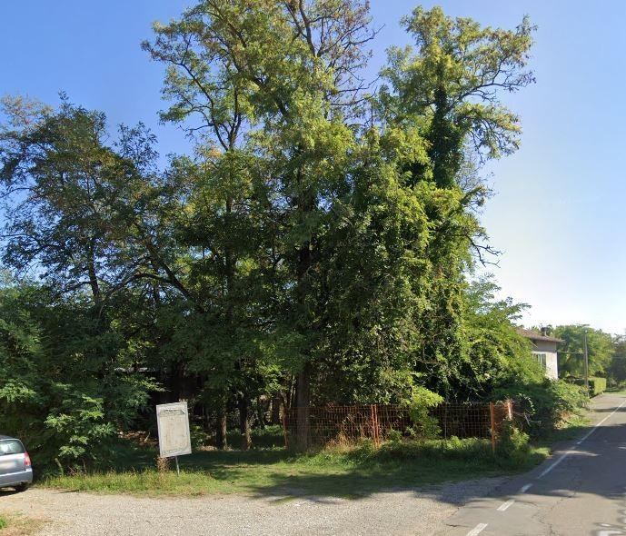 immagine annuncio 2 di 3