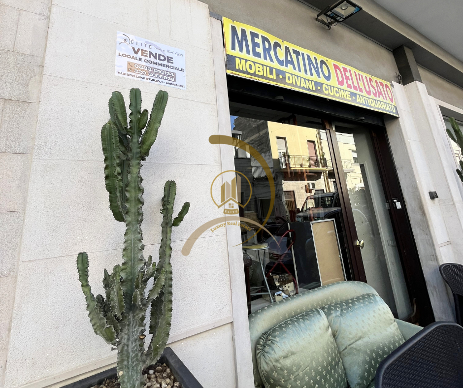 immagine annuncio 2 di 6