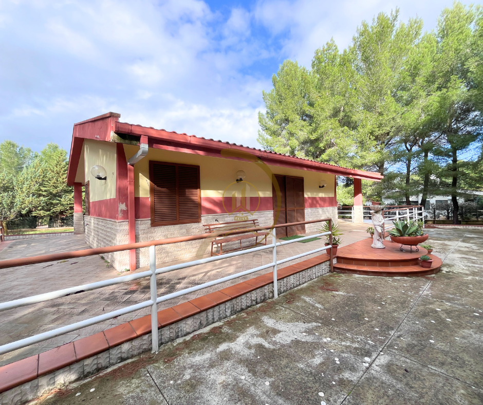 immagine annuncio 5 di 10