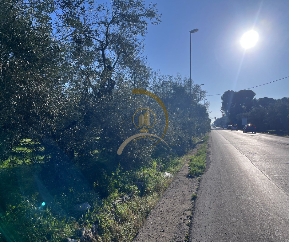 immagine annuncio 2 di 6