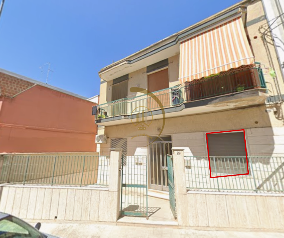 immagine annuncio 1 di 3