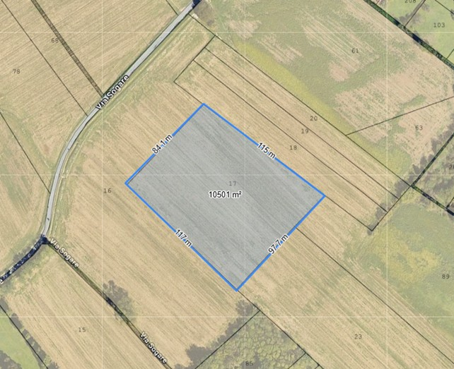 immagine annuncio 3 di 4