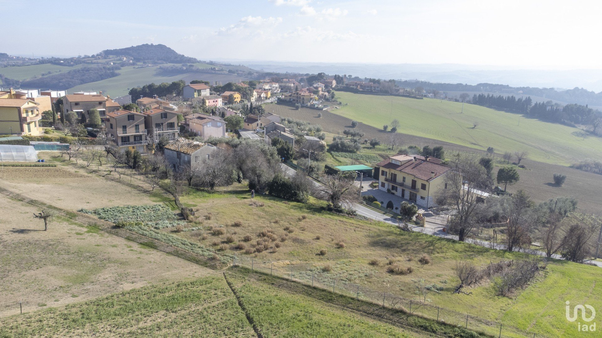 immagine annuncio 2 di 4