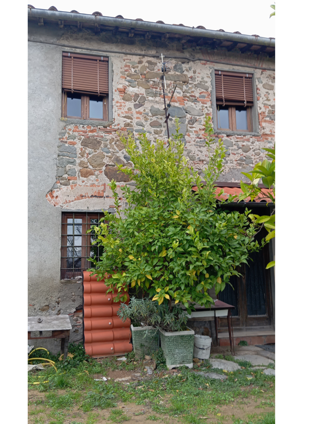 immagine annuncio 1 di 6