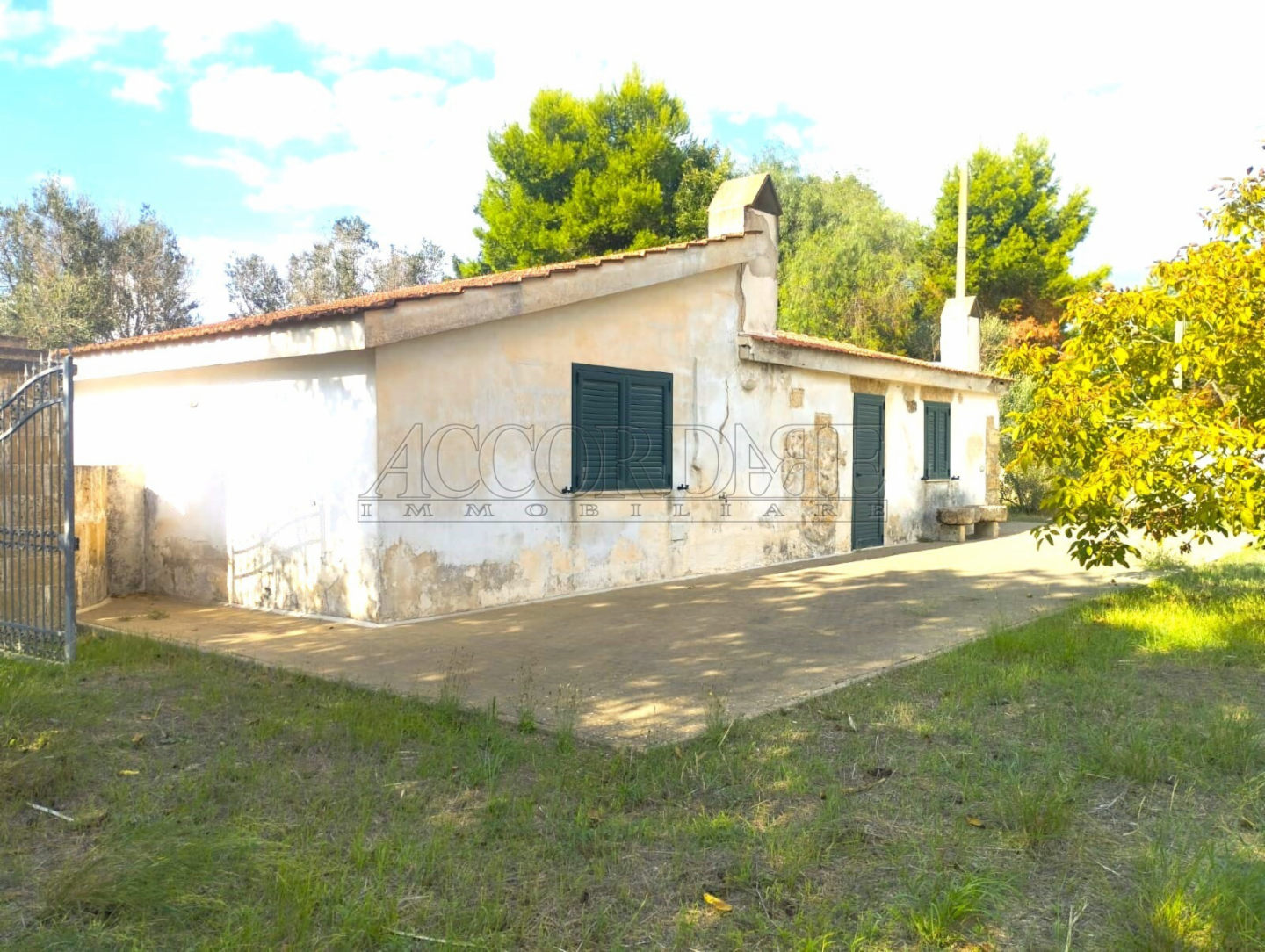 immagine annuncio 2 di 10