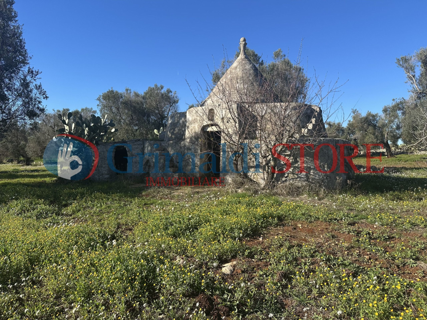 immagine annuncio 6 di 10