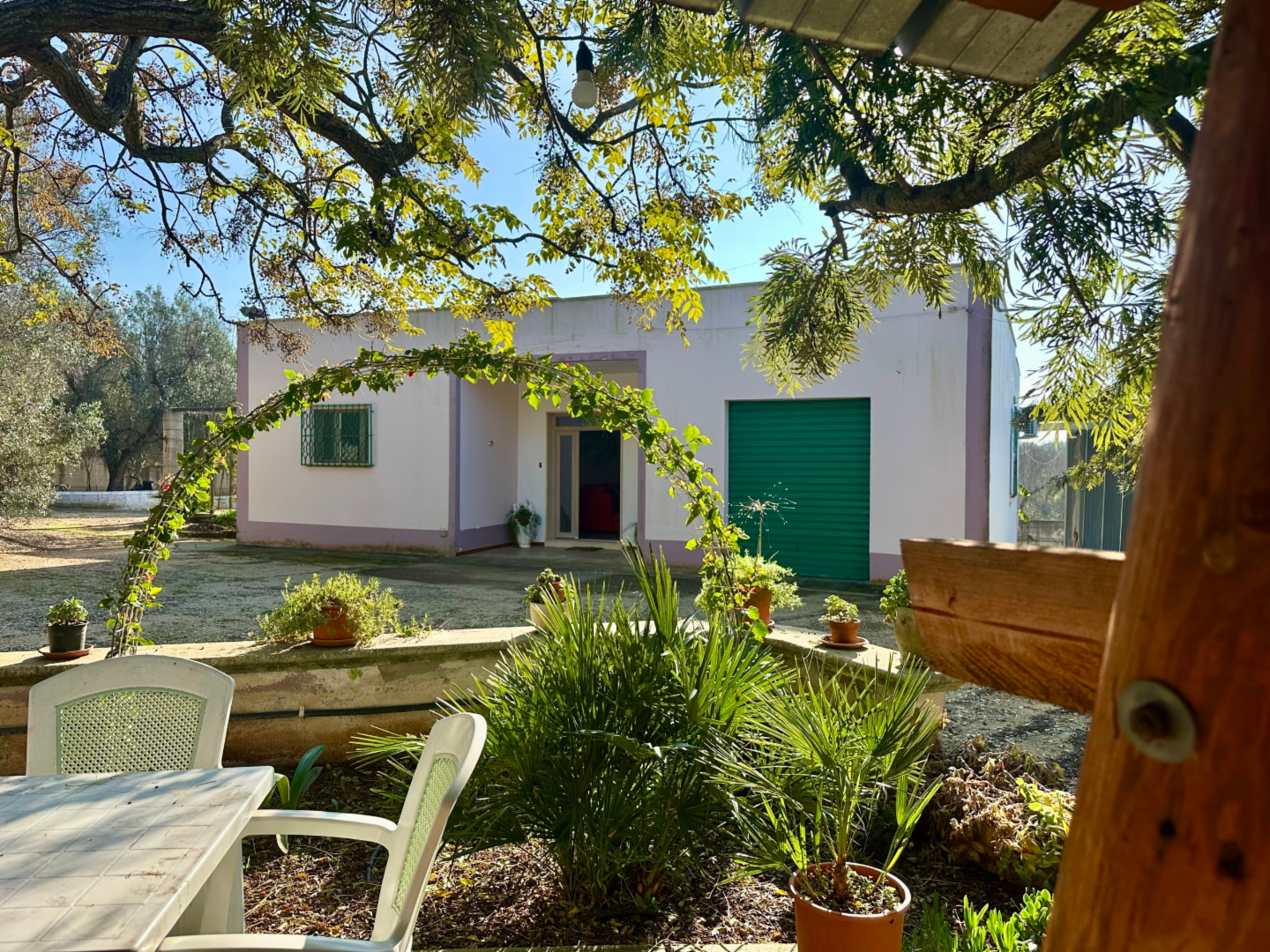 immagine annuncio 2 di 10