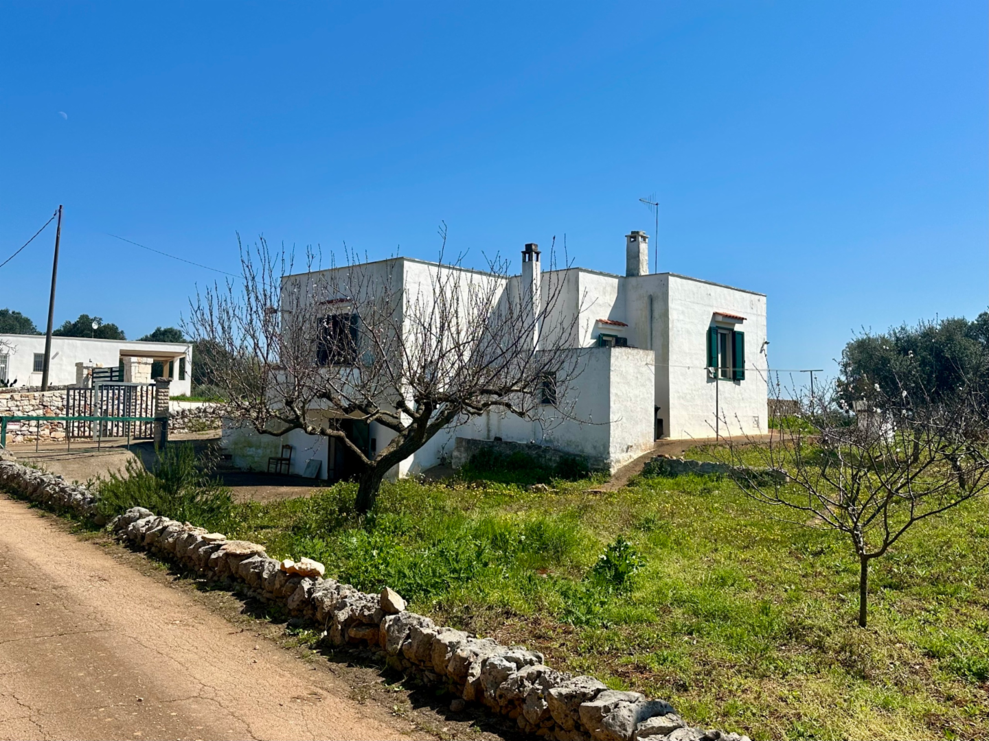 immagine annuncio 1 di 10