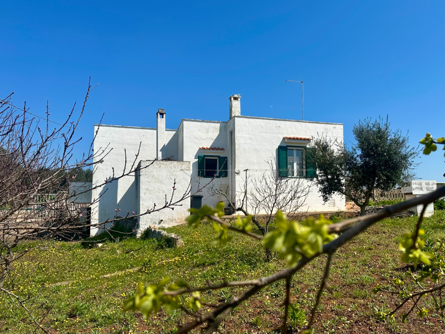 immagine annuncio 2 di 10