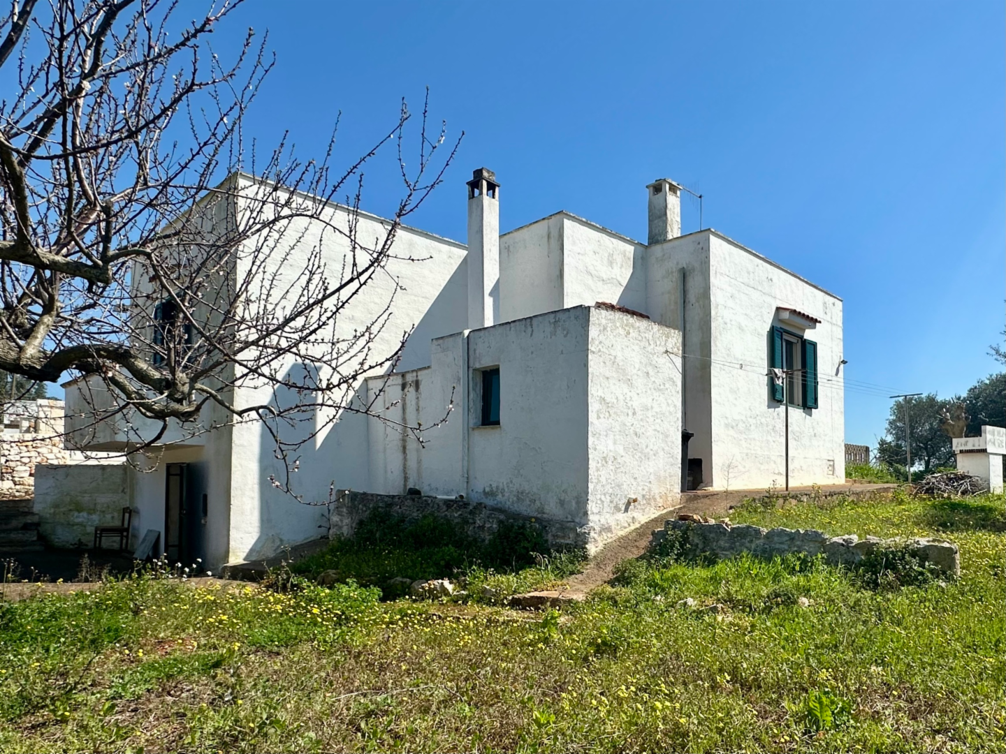 immagine annuncio 3 di 10