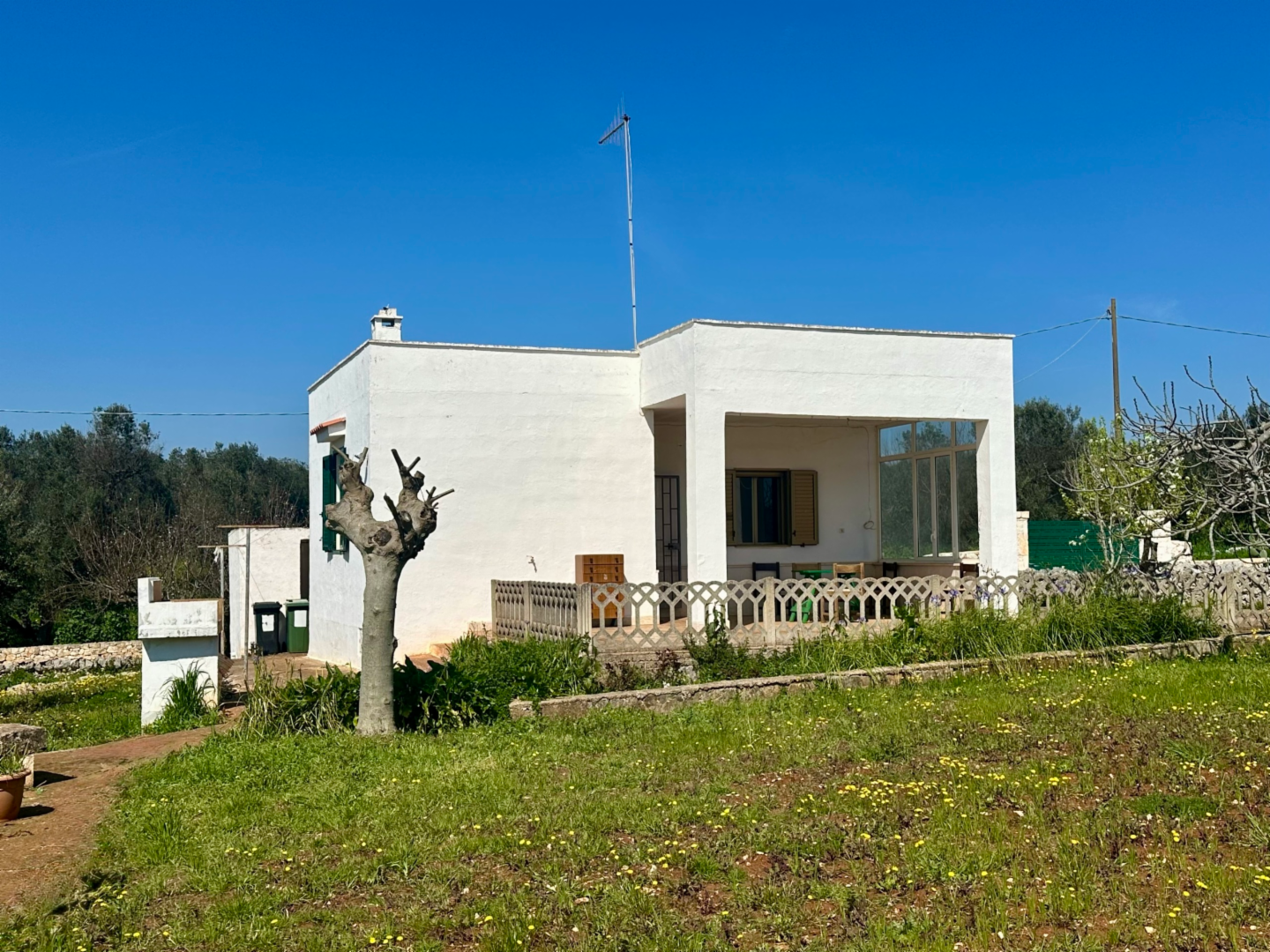 immagine annuncio 6 di 10