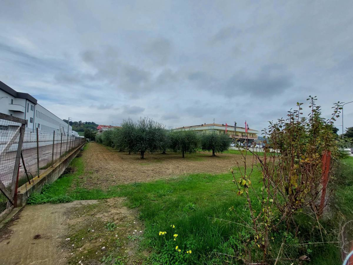immagine annuncio 2 di 4