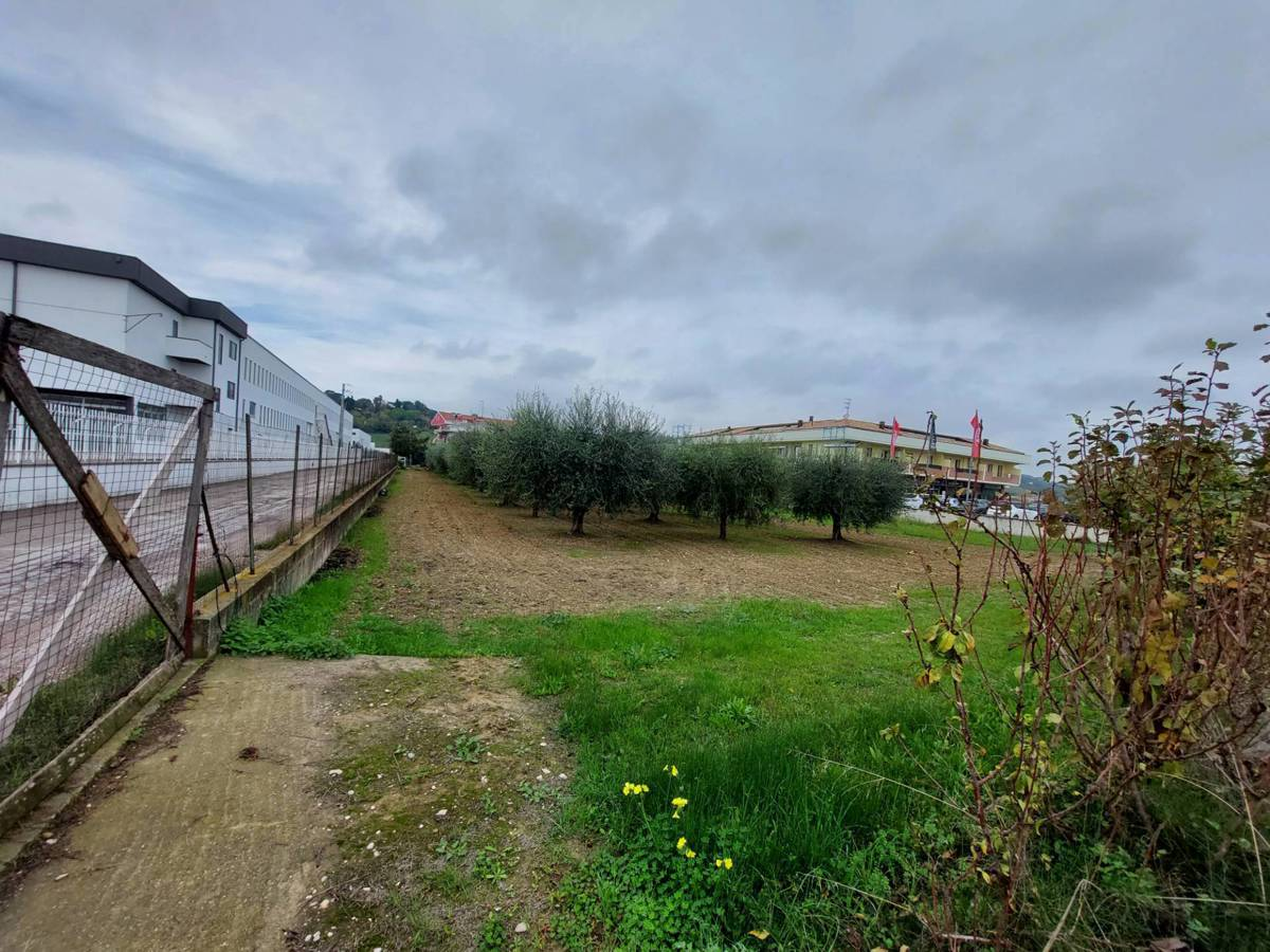 immagine annuncio 3 di 4