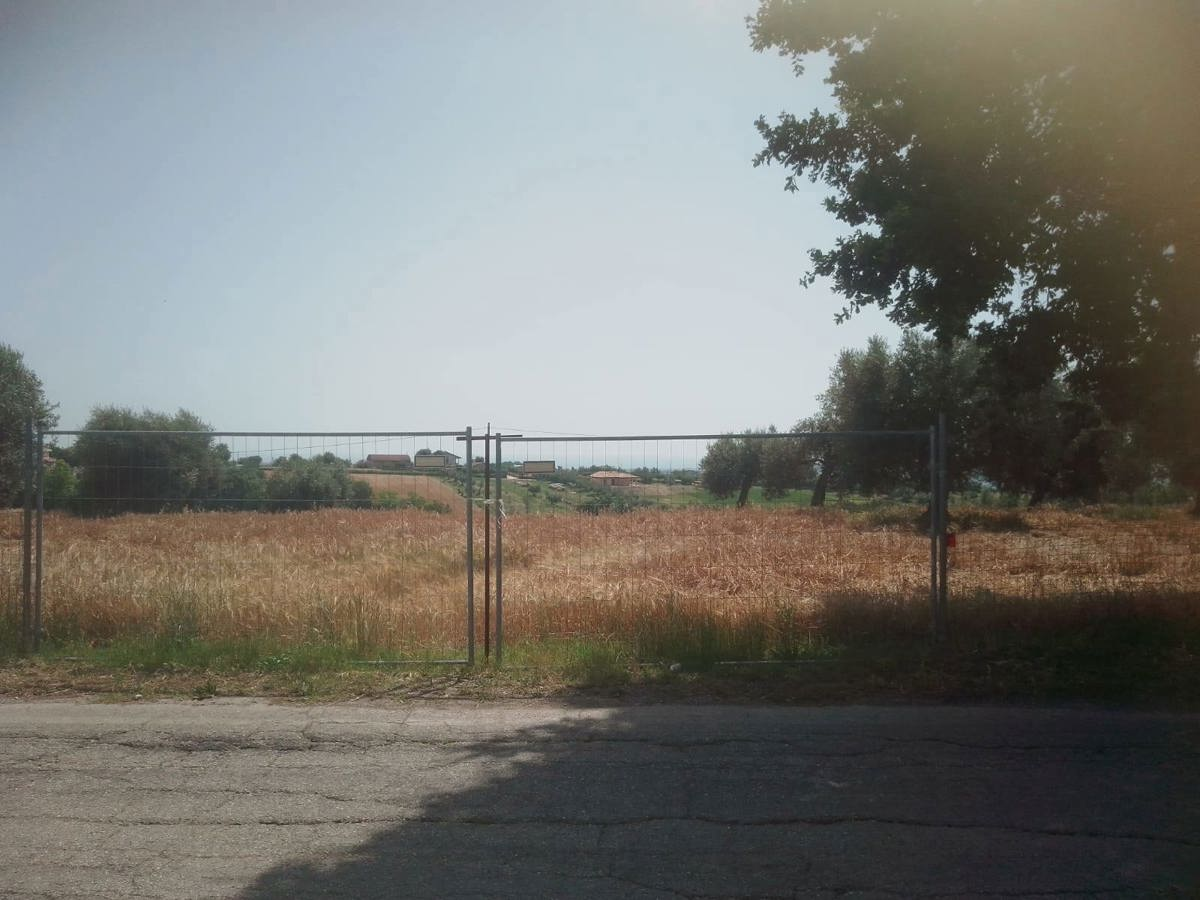 immagine annuncio 1 di 6