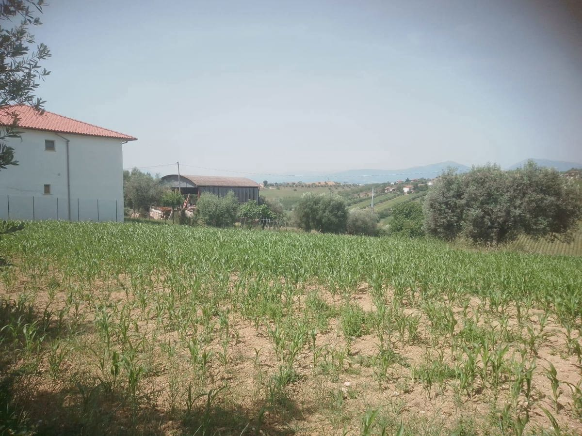 immagine annuncio 3 di 6