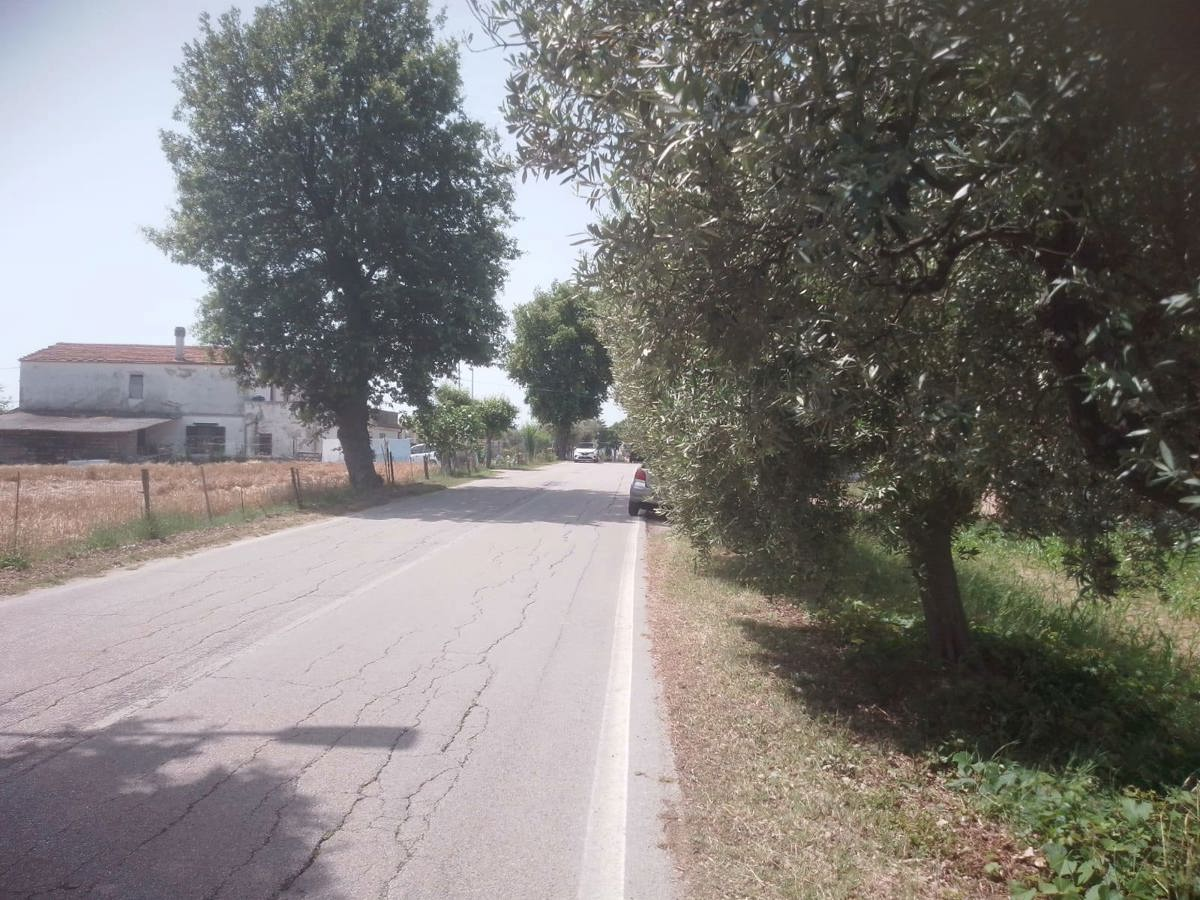 immagine annuncio 4 di 6
