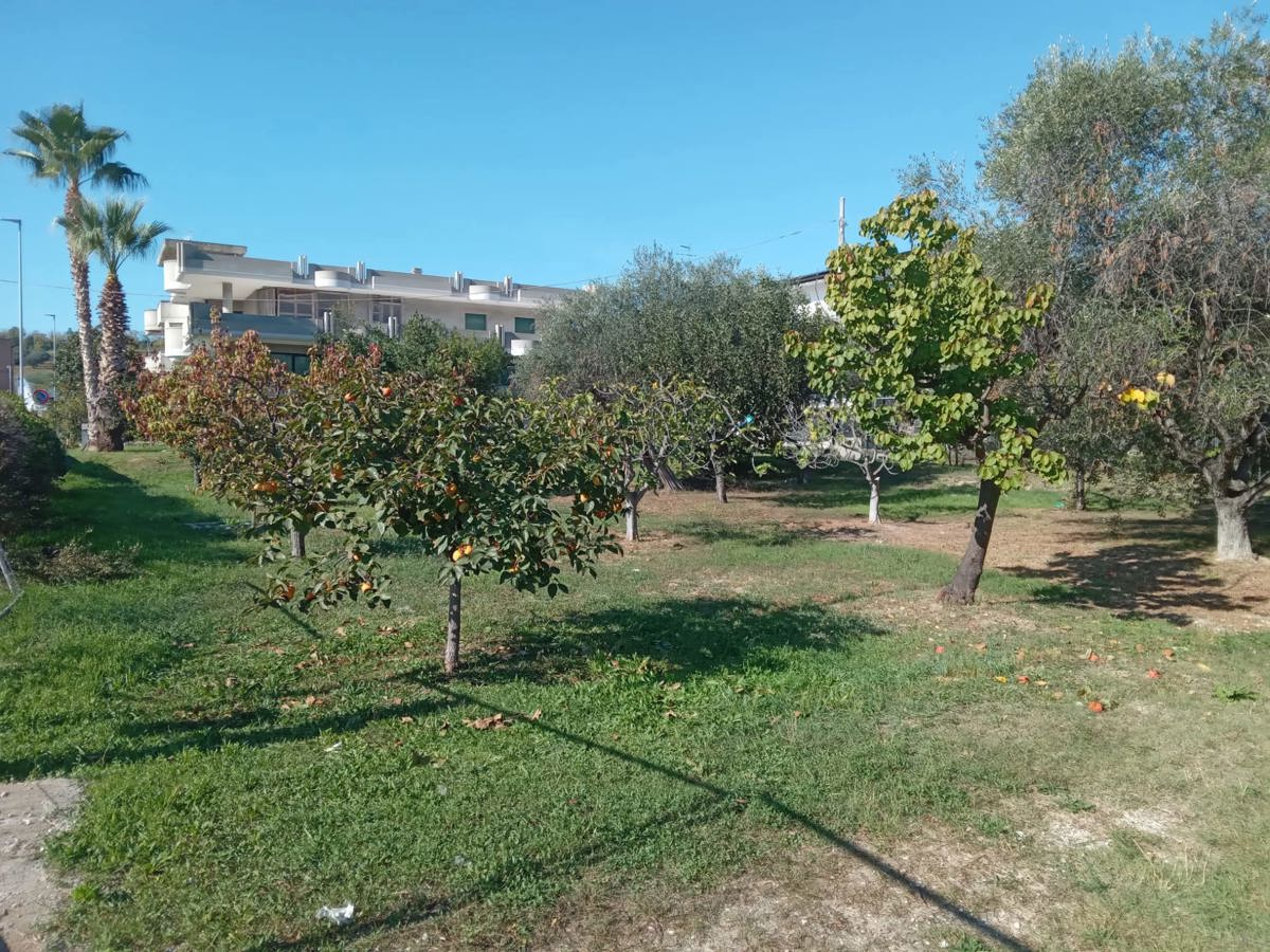 immagine annuncio 1 di 4