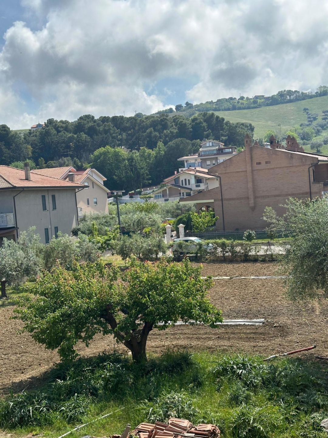 immagine annuncio 1 di 9
