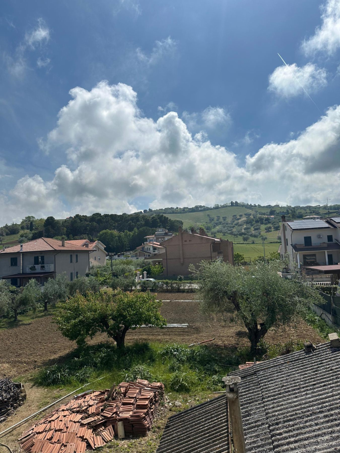 immagine annuncio 2 di 9