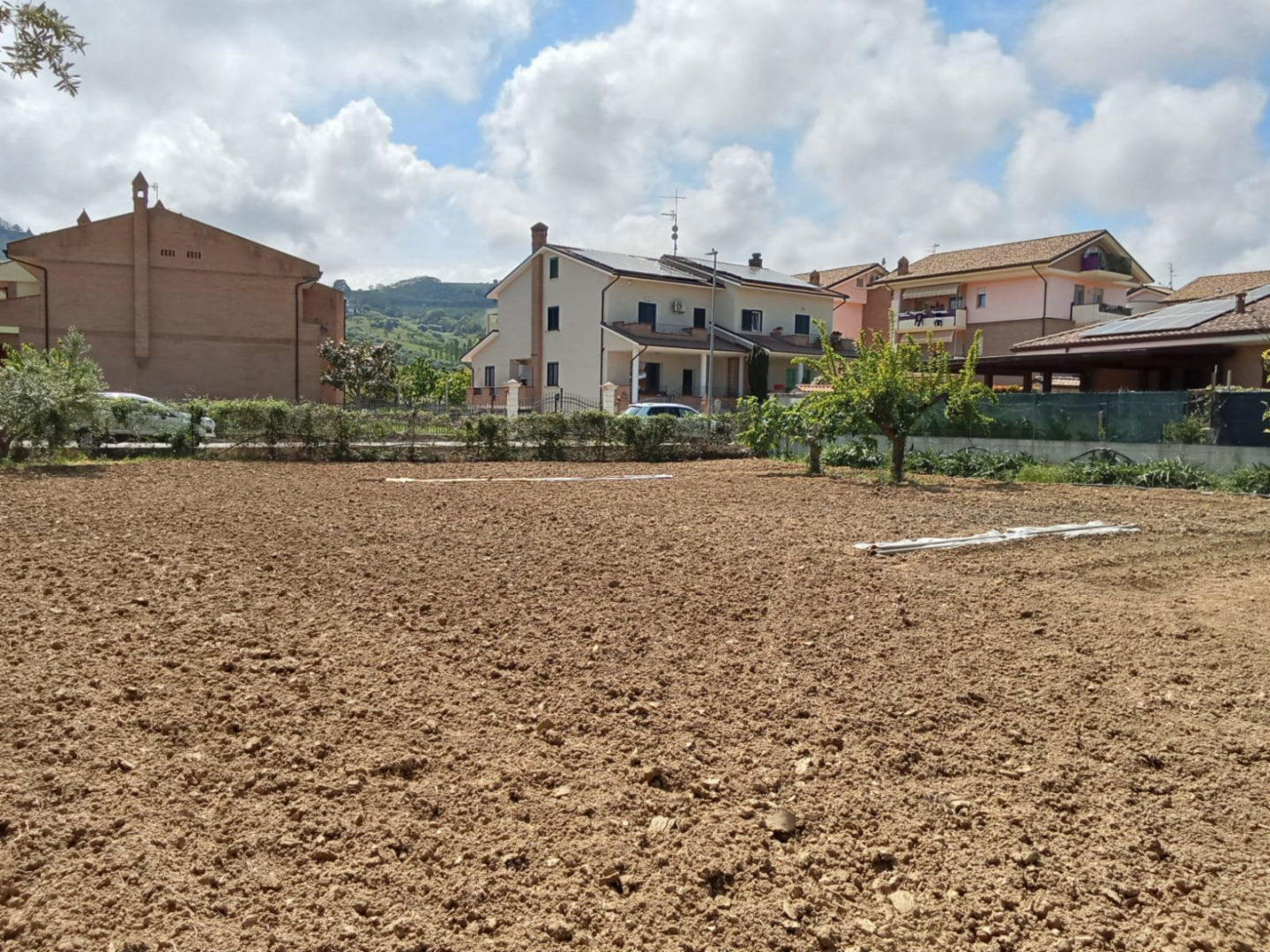 immagine annuncio 5 di 9