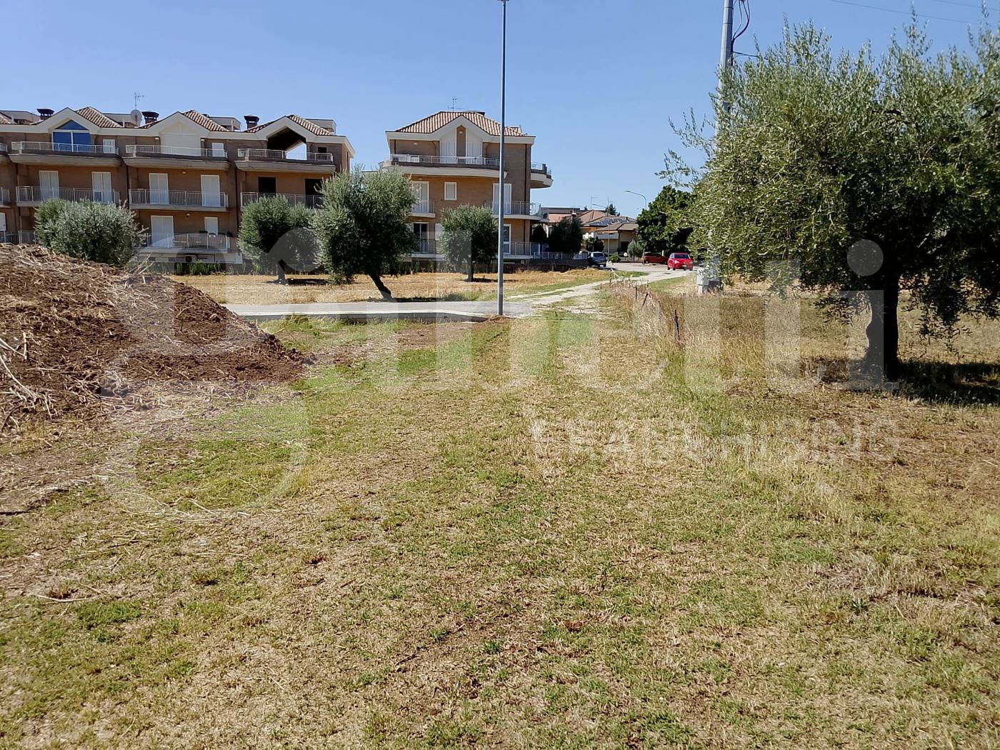 immagine annuncio 4 di 8