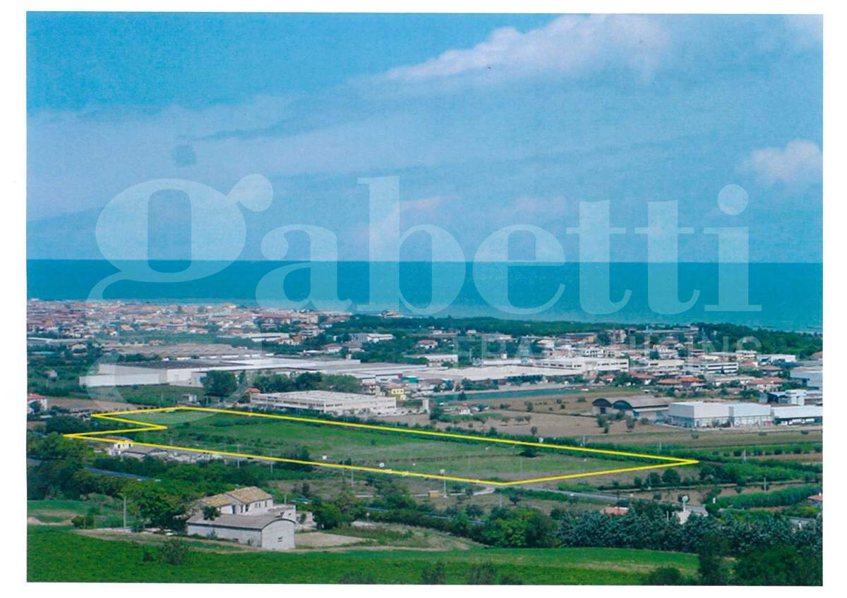 immagine annuncio 1 di 7