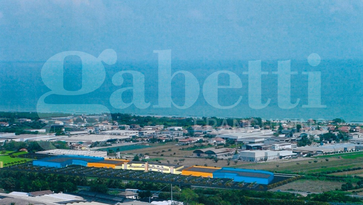 immagine annuncio 5 di 7