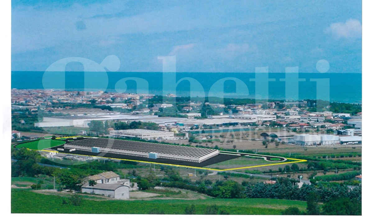 immagine annuncio 6 di 7