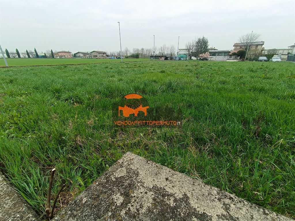 immagine annuncio 3 di 8