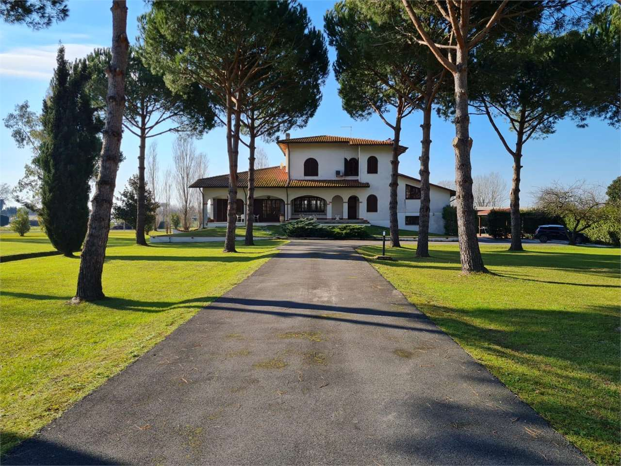 immagine annuncio 1 di 8