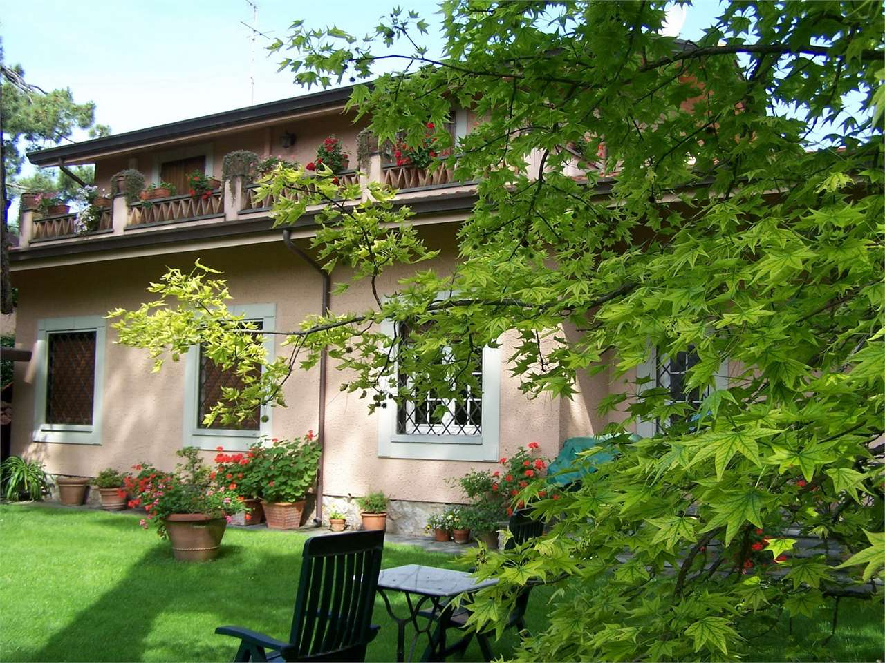 immagine annuncio 1 di 10