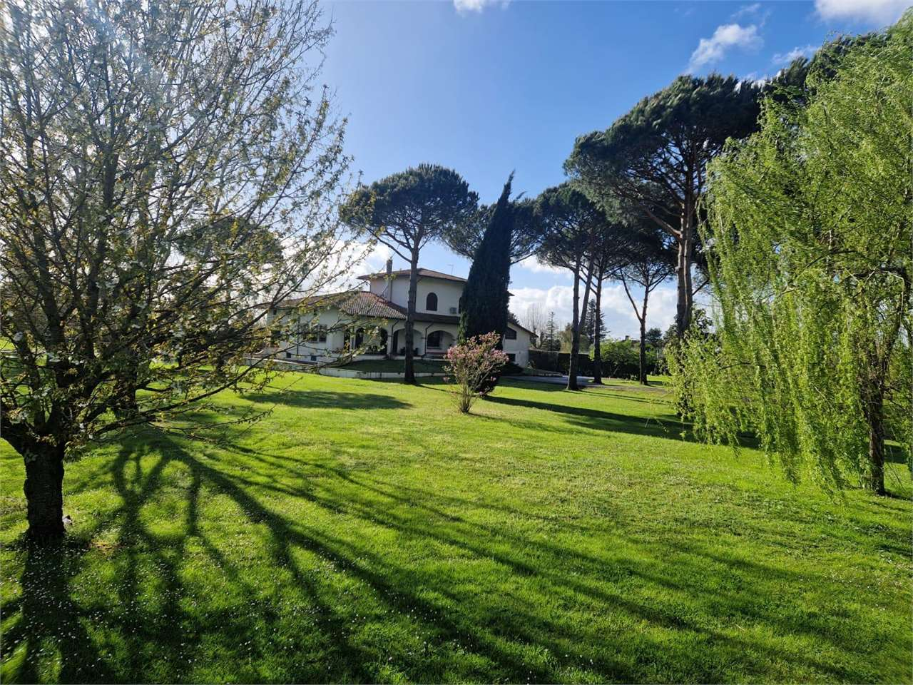 immagine annuncio 4 di 8