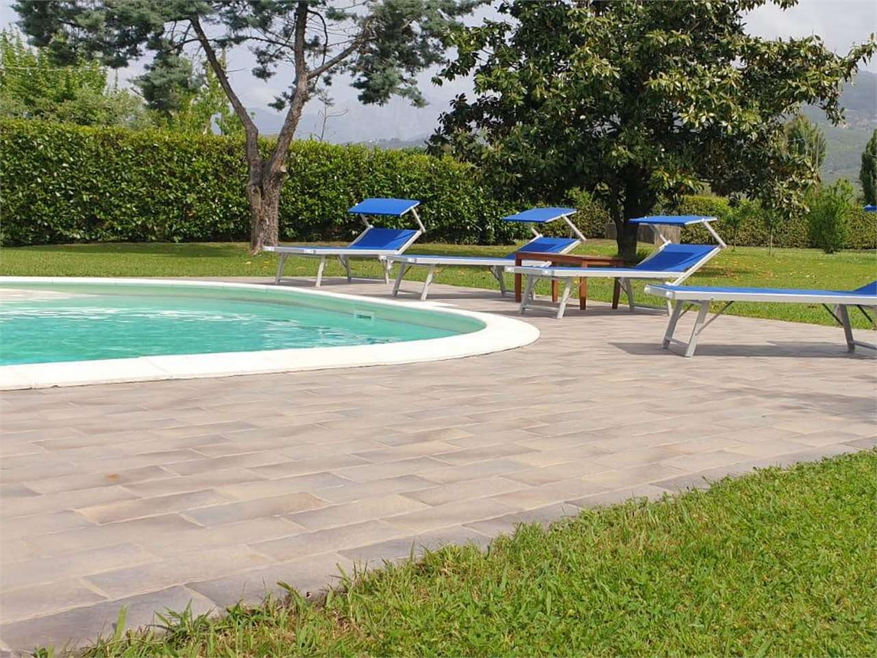 immagine annuncio 5 di 8