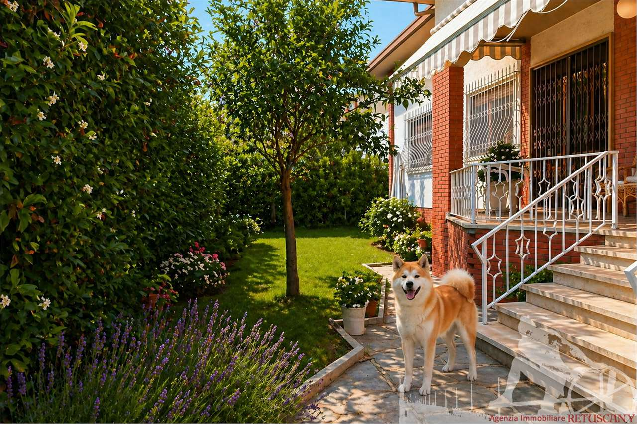 casa indipendente in affitto a Forte dei Marmi