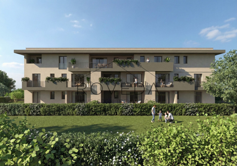 immagine annuncio 3 di 8