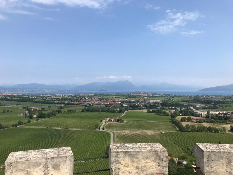 immagine annuncio 6 di 10