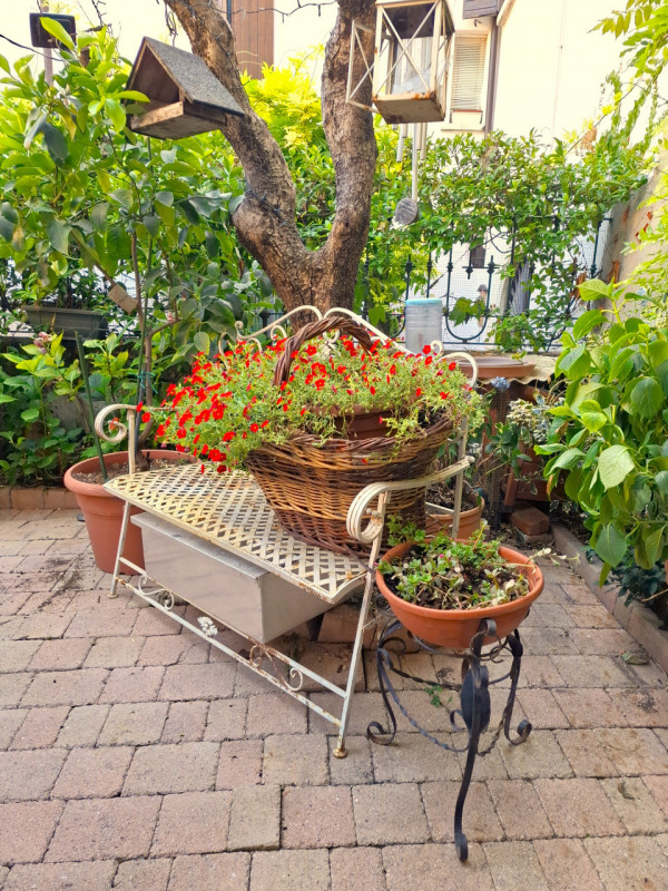 immagine annuncio 4 di 10