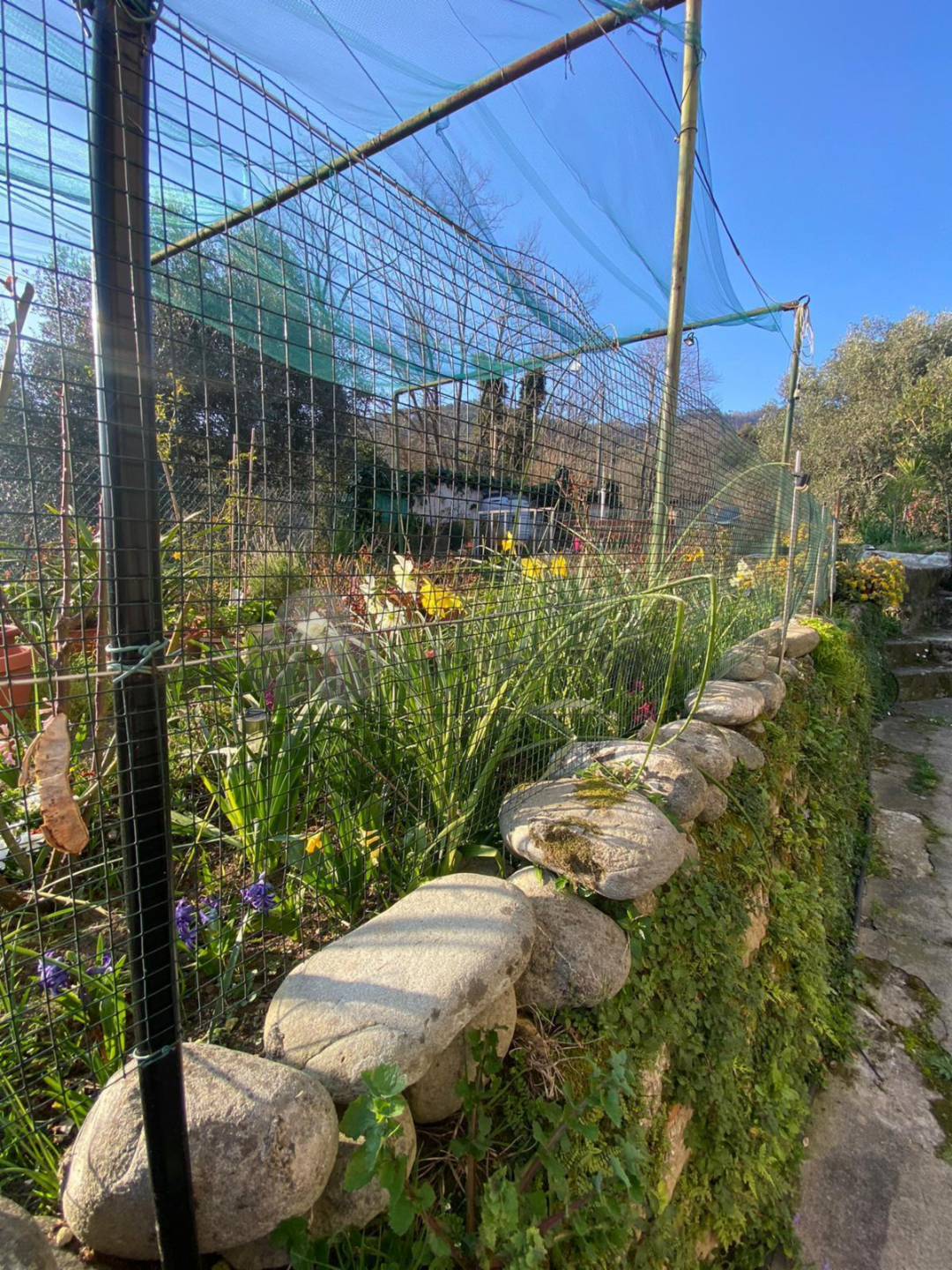 immagine annuncio 4 di 10