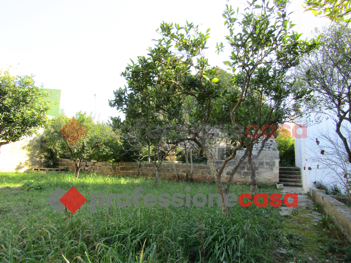 immagine annuncio 5 di 6