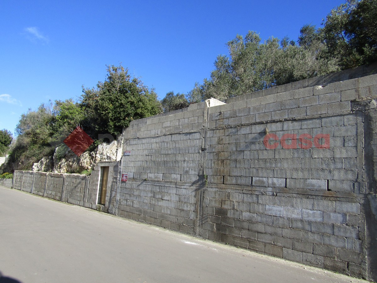 immagine annuncio 1 di 8