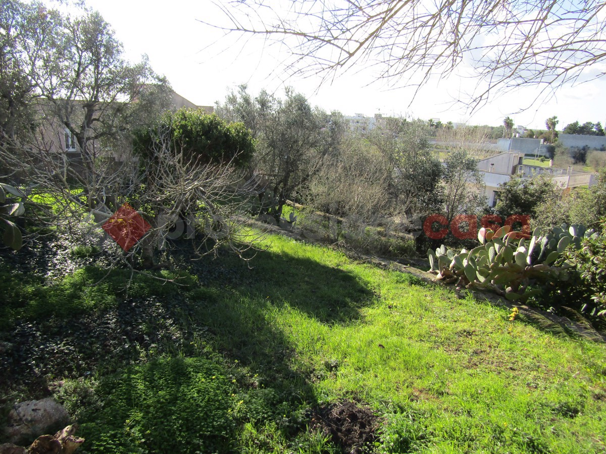 immagine annuncio 2 di 8