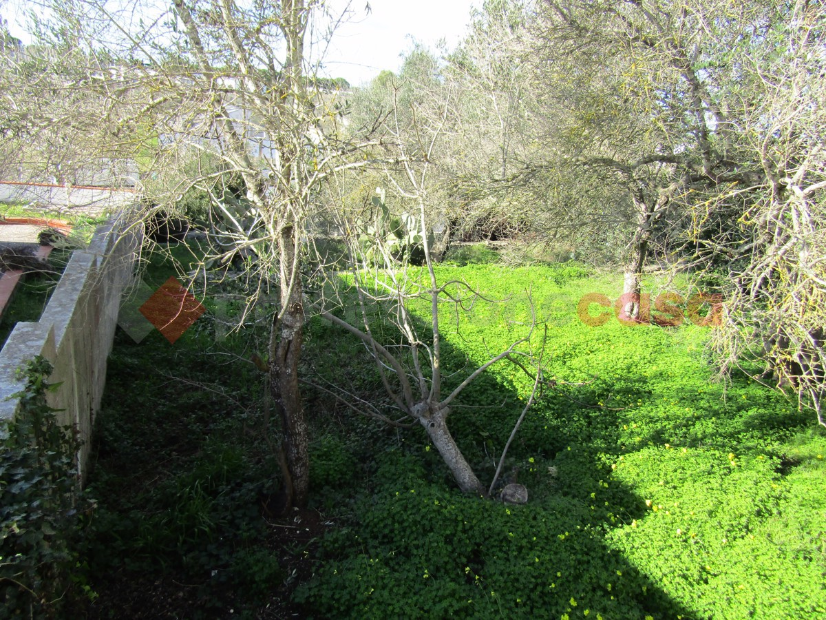 immagine annuncio 5 di 8