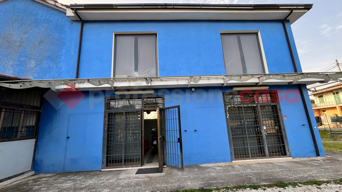 immagine annuncio 4 di 8